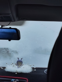 [星野和]雨下的特别特别大